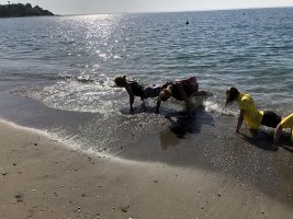 IMG_6111_1.JPG