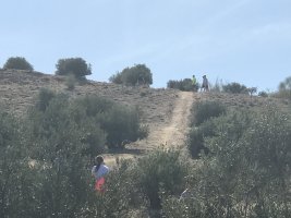 IMG_3724.JPG